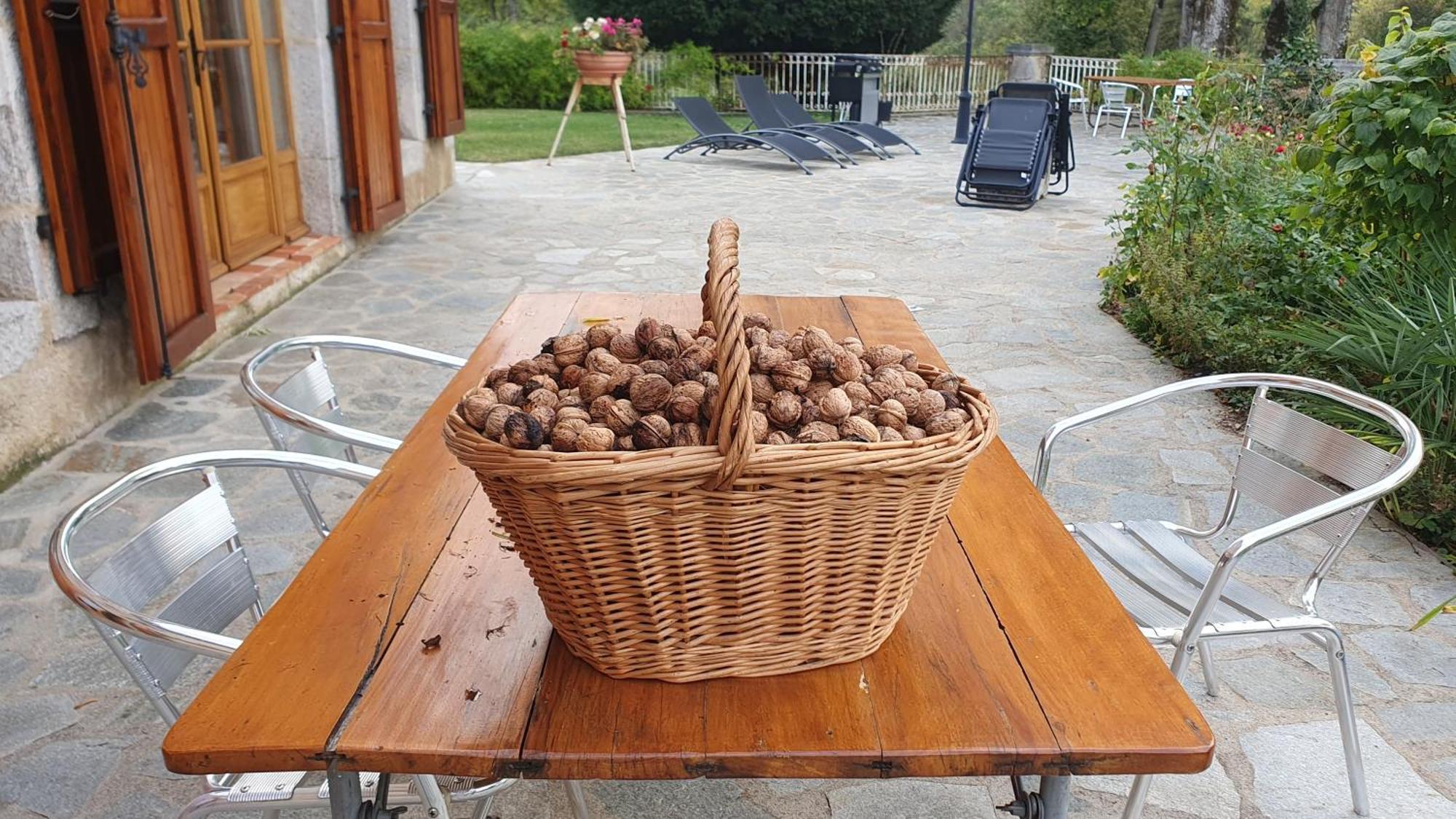 Domaine De Montvianeix Bed and Breakfast Saint-Victor-Montvianeix Buitenkant foto